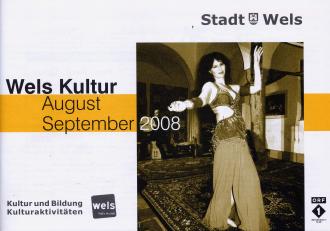 stadt_wels_aug_sept_08.jpg